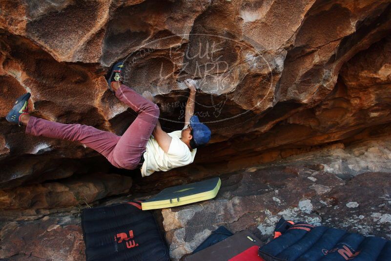 Bouldering in Hueco Tanks on 11/03/2018 with Blue Lizard Climbing and Yoga
Filename: SRM_20181103_1642310.jpg
Aperture: f/5.0
Shutter Speed: 1/250
Body: Canon EOS-1D Mark II
Lens: Canon EF 16-35mm f/2.8 L