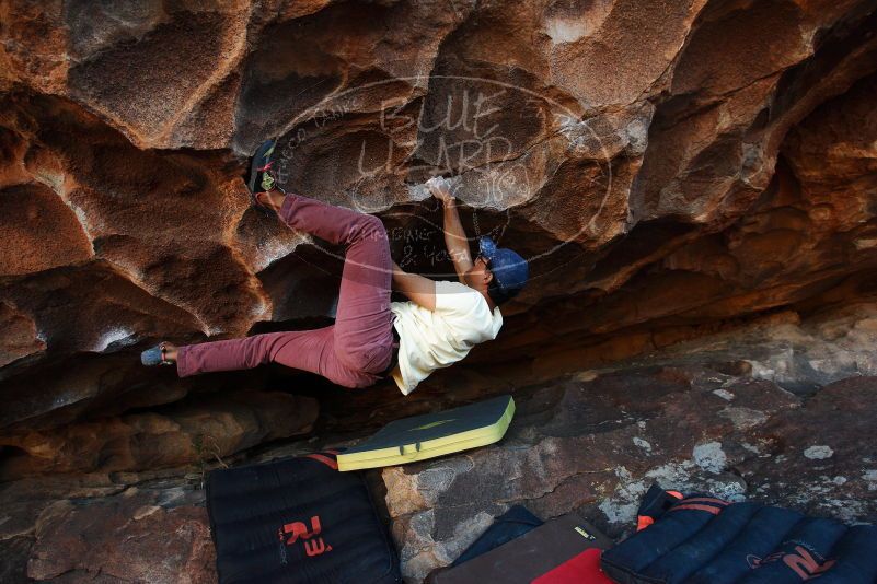 Bouldering in Hueco Tanks on 11/03/2018 with Blue Lizard Climbing and Yoga

Filename: SRM_20181103_1642330.jpg
Aperture: f/5.0
Shutter Speed: 1/320
Body: Canon EOS-1D Mark II
Lens: Canon EF 16-35mm f/2.8 L