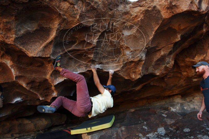 Bouldering in Hueco Tanks on 11/03/2018 with Blue Lizard Climbing and Yoga

Filename: SRM_20181103_1642370.jpg
Aperture: f/5.0
Shutter Speed: 1/320
Body: Canon EOS-1D Mark II
Lens: Canon EF 16-35mm f/2.8 L
