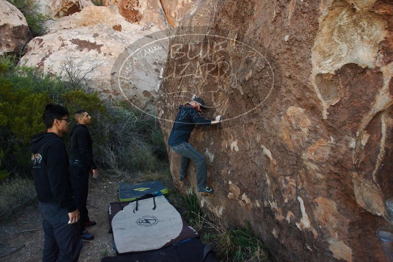 Bouldering in Hueco Tanks on 11/04/2018 with Blue Lizard Climbing and Yoga

Filename: SRM_20181104_1008490.jpg
Aperture: f/5.6
Shutter Speed: 1/250
Body: Canon EOS-1D Mark II
Lens: Canon EF 16-35mm f/2.8 L