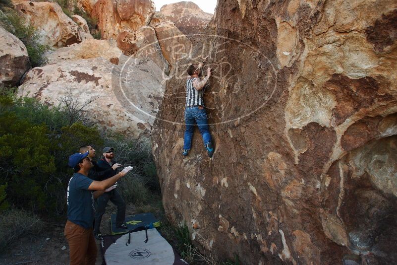Bouldering in Hueco Tanks on 11/04/2018 with Blue Lizard Climbing and Yoga

Filename: SRM_20181104_1011280.jpg
Aperture: f/5.6
Shutter Speed: 1/320
Body: Canon EOS-1D Mark II
Lens: Canon EF 16-35mm f/2.8 L