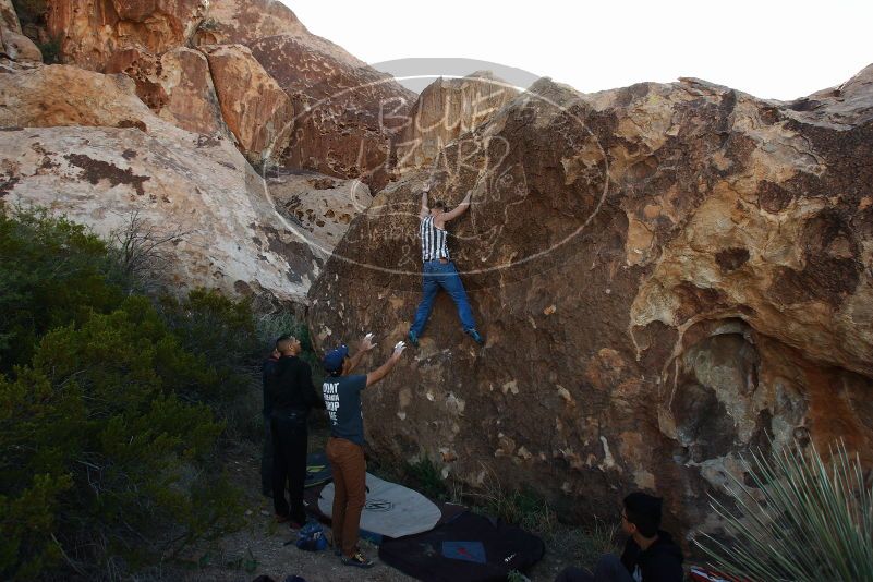 Bouldering in Hueco Tanks on 11/04/2018 with Blue Lizard Climbing and Yoga

Filename: SRM_20181104_1011400.jpg
Aperture: f/5.6
Shutter Speed: 1/400
Body: Canon EOS-1D Mark II
Lens: Canon EF 16-35mm f/2.8 L