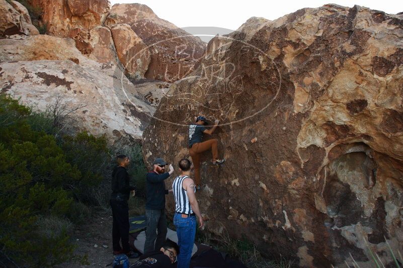 Bouldering in Hueco Tanks on 11/04/2018 with Blue Lizard Climbing and Yoga

Filename: SRM_20181104_1014000.jpg
Aperture: f/5.6
Shutter Speed: 1/400
Body: Canon EOS-1D Mark II
Lens: Canon EF 16-35mm f/2.8 L