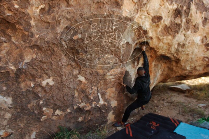 Bouldering in Hueco Tanks on 11/04/2018 with Blue Lizard Climbing and Yoga

Filename: SRM_20181104_1025400.jpg
Aperture: f/5.0
Shutter Speed: 1/250
Body: Canon EOS-1D Mark II
Lens: Canon EF 16-35mm f/2.8 L