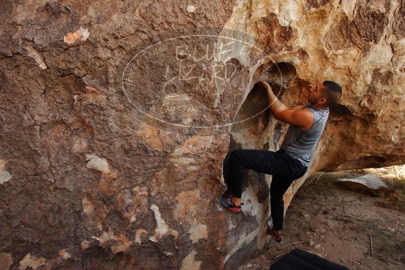 Bouldering in Hueco Tanks on 11/04/2018 with Blue Lizard Climbing and Yoga

Filename: SRM_20181104_1030410.jpg
Aperture: f/5.0
Shutter Speed: 1/250
Body: Canon EOS-1D Mark II
Lens: Canon EF 16-35mm f/2.8 L