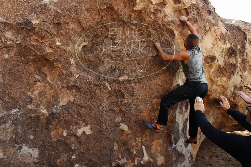 Bouldering in Hueco Tanks on 11/04/2018 with Blue Lizard Climbing and Yoga

Filename: SRM_20181104_1031050.jpg
Aperture: f/5.0
Shutter Speed: 1/320
Body: Canon EOS-1D Mark II
Lens: Canon EF 16-35mm f/2.8 L
