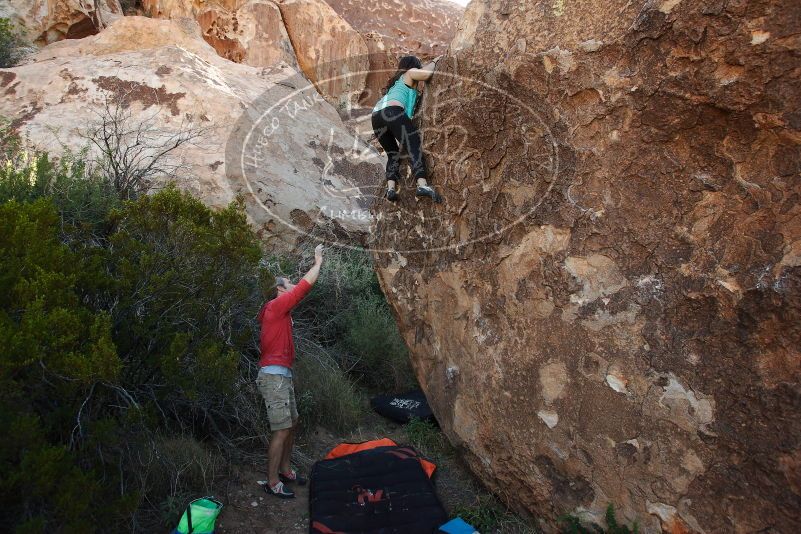 Bouldering in Hueco Tanks on 11/04/2018 with Blue Lizard Climbing and Yoga

Filename: SRM_20181104_1031230.jpg
Aperture: f/5.0
Shutter Speed: 1/400
Body: Canon EOS-1D Mark II
Lens: Canon EF 16-35mm f/2.8 L