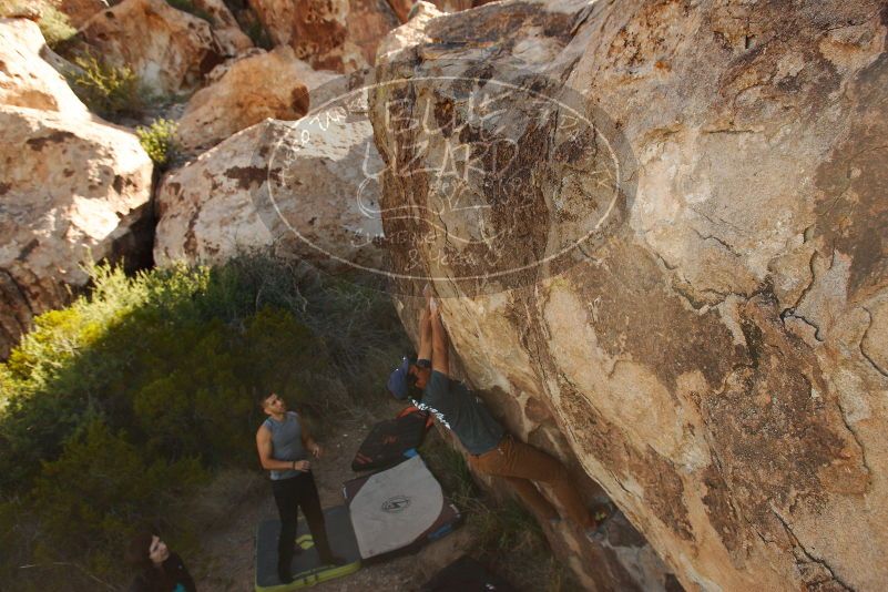 Bouldering in Hueco Tanks on 11/04/2018 with Blue Lizard Climbing and Yoga
Filename: SRM_20181104_1039350.jpg
Aperture: f/5.6
Shutter Speed: 1/800
Body: Canon EOS-1D Mark II
Lens: Canon EF 16-35mm f/2.8 L