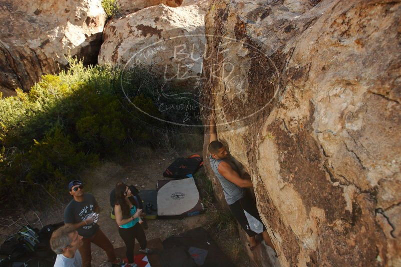 Bouldering in Hueco Tanks on 11/04/2018 with Blue Lizard Climbing and Yoga

Filename: SRM_20181104_1041450.jpg
Aperture: f/5.6
Shutter Speed: 1/640
Body: Canon EOS-1D Mark II
Lens: Canon EF 16-35mm f/2.8 L