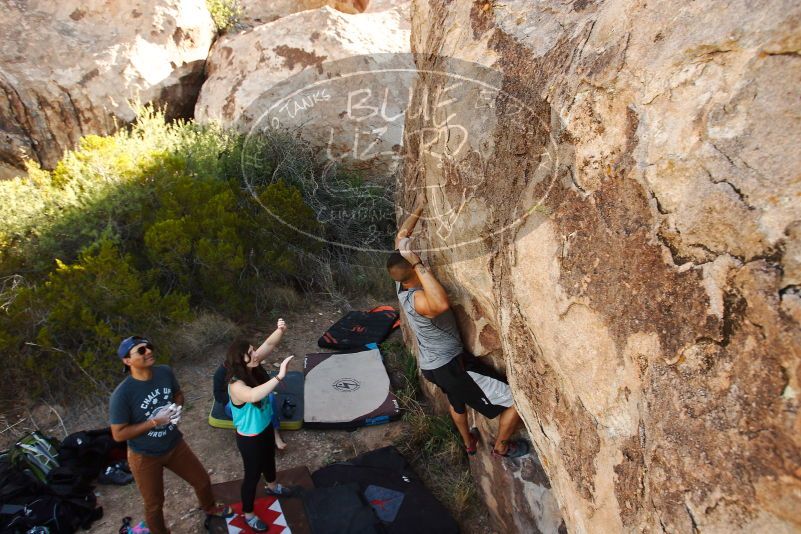 Bouldering in Hueco Tanks on 11/04/2018 with Blue Lizard Climbing and Yoga

Filename: SRM_20181104_1041480.jpg
Aperture: f/5.6
Shutter Speed: 1/250
Body: Canon EOS-1D Mark II
Lens: Canon EF 16-35mm f/2.8 L