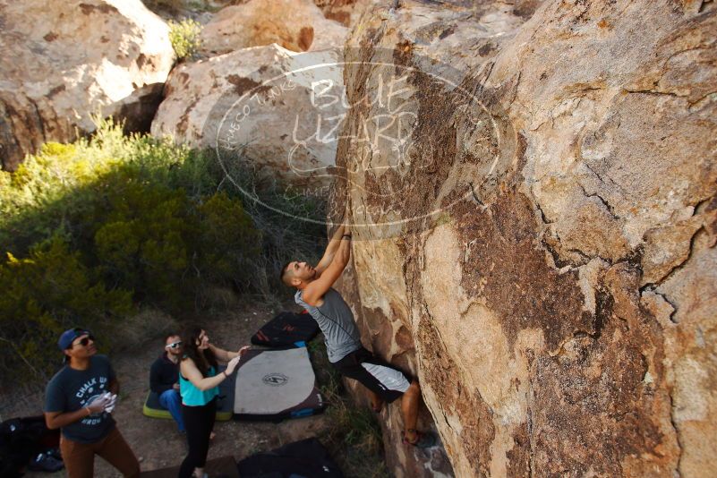 Bouldering in Hueco Tanks on 11/04/2018 with Blue Lizard Climbing and Yoga

Filename: SRM_20181104_1041511.jpg
Aperture: f/5.6
Shutter Speed: 1/400
Body: Canon EOS-1D Mark II
Lens: Canon EF 16-35mm f/2.8 L
