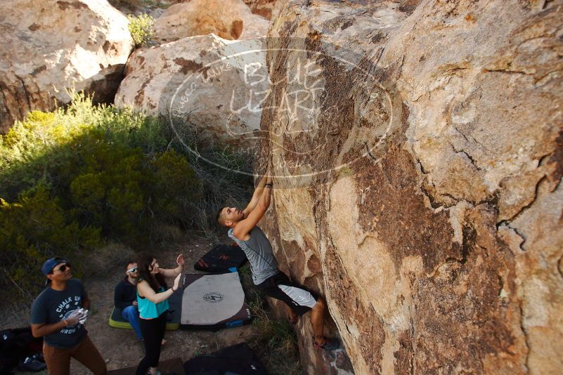 Bouldering in Hueco Tanks on 11/04/2018 with Blue Lizard Climbing and Yoga

Filename: SRM_20181104_1041512.jpg
Aperture: f/5.6
Shutter Speed: 1/400
Body: Canon EOS-1D Mark II
Lens: Canon EF 16-35mm f/2.8 L