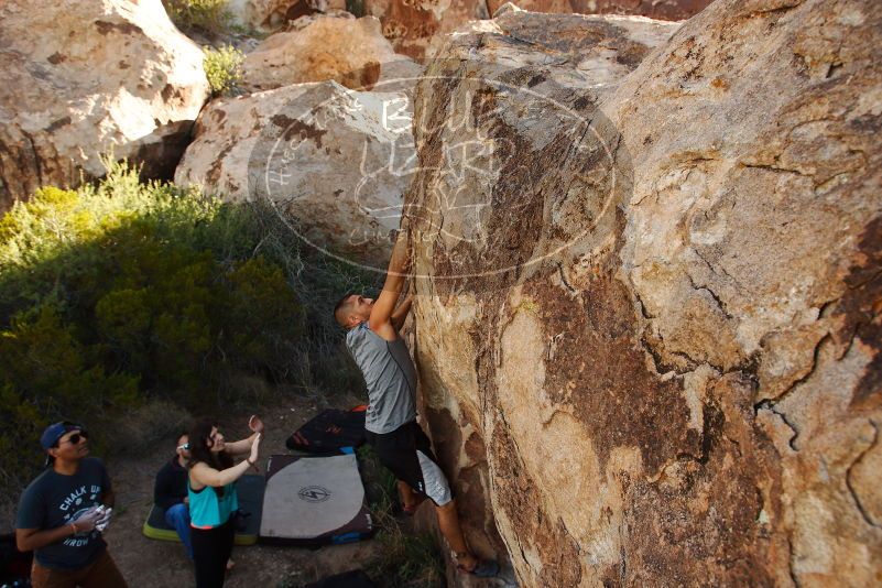 Bouldering in Hueco Tanks on 11/04/2018 with Blue Lizard Climbing and Yoga

Filename: SRM_20181104_1041521.jpg
Aperture: f/5.6
Shutter Speed: 1/400
Body: Canon EOS-1D Mark II
Lens: Canon EF 16-35mm f/2.8 L