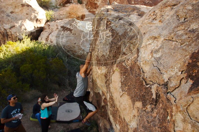 Bouldering in Hueco Tanks on 11/04/2018 with Blue Lizard Climbing and Yoga

Filename: SRM_20181104_1041522.jpg
Aperture: f/5.6
Shutter Speed: 1/400
Body: Canon EOS-1D Mark II
Lens: Canon EF 16-35mm f/2.8 L