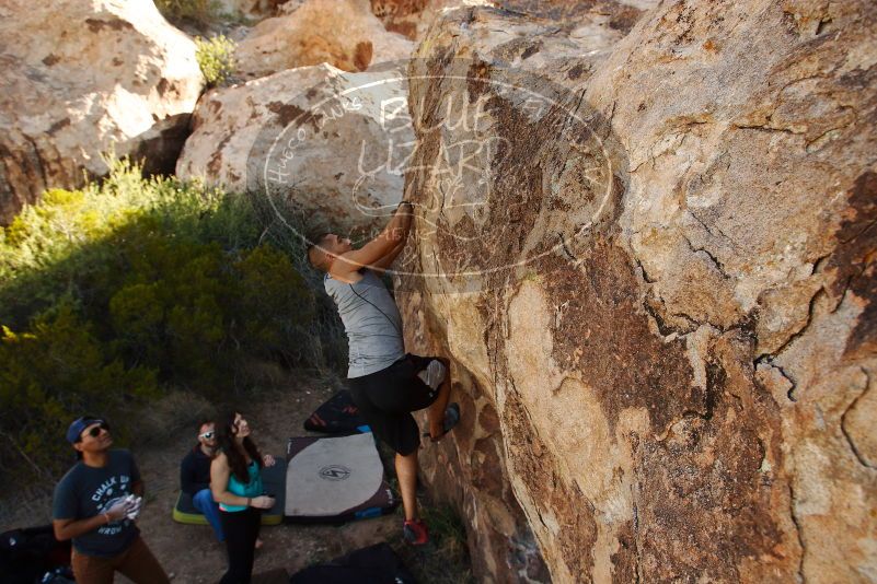 Bouldering in Hueco Tanks on 11/04/2018 with Blue Lizard Climbing and Yoga

Filename: SRM_20181104_1041542.jpg
Aperture: f/5.6
Shutter Speed: 1/400
Body: Canon EOS-1D Mark II
Lens: Canon EF 16-35mm f/2.8 L