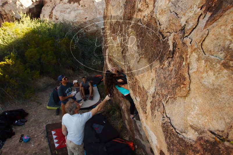 Bouldering in Hueco Tanks on 11/04/2018 with Blue Lizard Climbing and Yoga

Filename: SRM_20181104_1043360.jpg
Aperture: f/5.6
Shutter Speed: 1/400
Body: Canon EOS-1D Mark II
Lens: Canon EF 16-35mm f/2.8 L