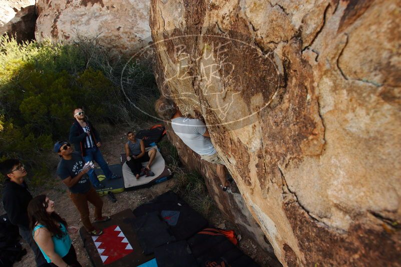 Bouldering in Hueco Tanks on 11/04/2018 with Blue Lizard Climbing and Yoga
Filename: SRM_20181104_1044280.jpg
Aperture: f/5.6
Shutter Speed: 1/400
Body: Canon EOS-1D Mark II
Lens: Canon EF 16-35mm f/2.8 L