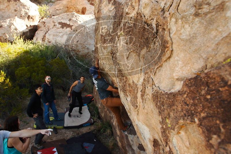 Bouldering in Hueco Tanks on 11/04/2018 with Blue Lizard Climbing and Yoga
Filename: SRM_20181104_1045151.jpg
Aperture: f/5.6
Shutter Speed: 1/320
Body: Canon EOS-1D Mark II
Lens: Canon EF 16-35mm f/2.8 L