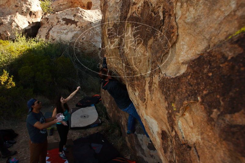 Bouldering in Hueco Tanks on 11/04/2018 with Blue Lizard Climbing and Yoga

Filename: SRM_20181104_1046340.jpg
Aperture: f/5.6
Shutter Speed: 1/640
Body: Canon EOS-1D Mark II
Lens: Canon EF 16-35mm f/2.8 L