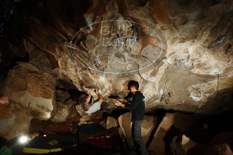 Bouldering in Hueco Tanks on 11/04/2018 with Blue Lizard Climbing and Yoga
Filename: SRM_20181104_1156160.jpg
Aperture: f/8.0
Shutter Speed: 1/250
Body: Canon EOS-1D Mark II
Lens: Canon EF 16-35mm f/2.8 L