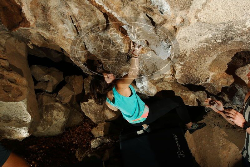 Bouldering in Hueco Tanks on 11/04/2018 with Blue Lizard Climbing and Yoga

Filename: SRM_20181104_1220010.jpg
Aperture: f/8.0
Shutter Speed: 1/250
Body: Canon EOS-1D Mark II
Lens: Canon EF 16-35mm f/2.8 L