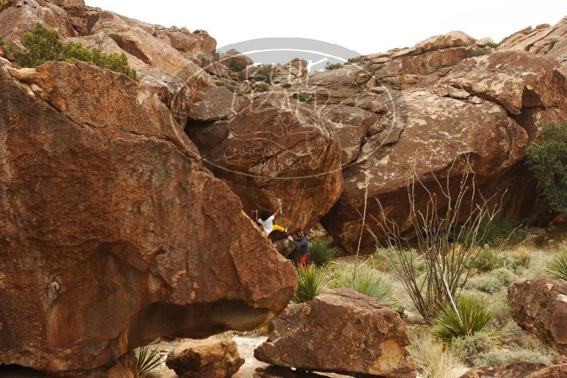 Bouldering in Hueco Tanks on 11/10/2018 with Blue Lizard Climbing and Yoga

Filename: SRM_20181110_1131170.jpg
Aperture: f/5.6
Shutter Speed: 1/500
Body: Canon EOS-1D Mark II
Lens: Canon EF 16-35mm f/2.8 L