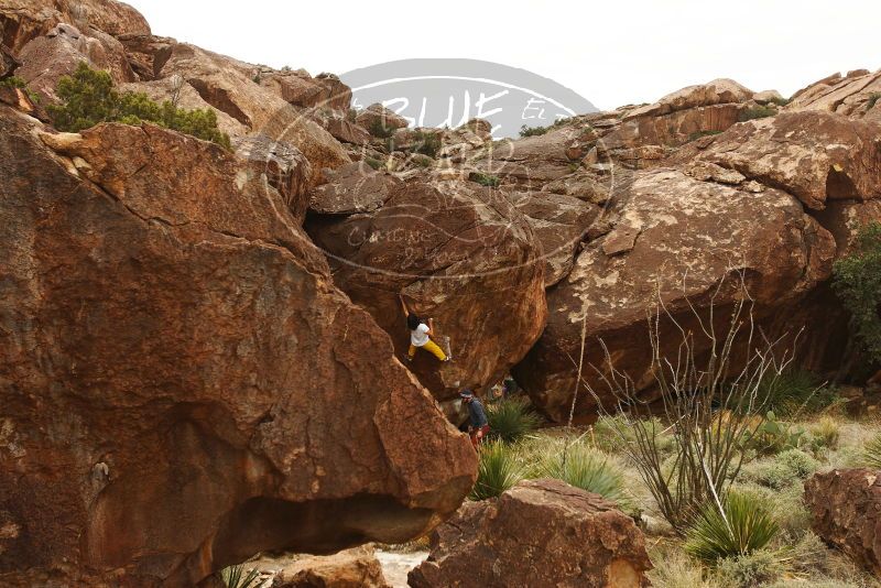 Bouldering in Hueco Tanks on 11/10/2018 with Blue Lizard Climbing and Yoga

Filename: SRM_20181110_1131330.jpg
Aperture: f/5.6
Shutter Speed: 1/640
Body: Canon EOS-1D Mark II
Lens: Canon EF 16-35mm f/2.8 L
