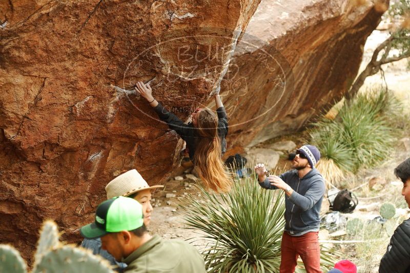 Bouldering in Hueco Tanks on 11/10/2018 with Blue Lizard Climbing and Yoga
Filename: SRM_20181110_1151290.jpg
Aperture: f/3.5
Shutter Speed: 1/400
Body: Canon EOS-1D Mark II
Lens: Canon EF 50mm f/1.8 II
