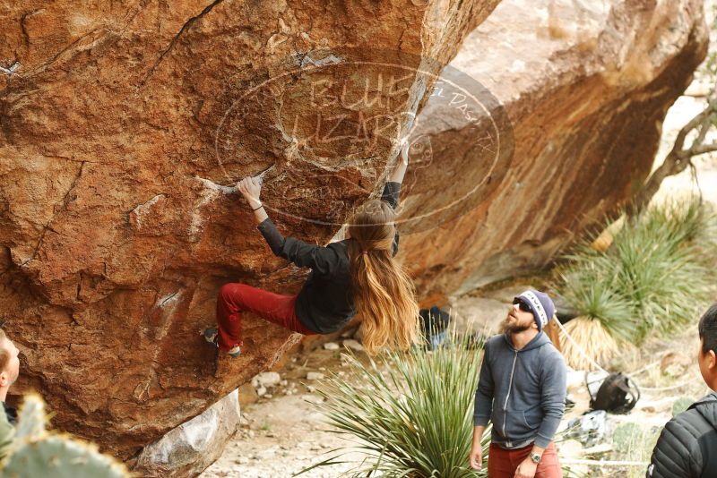 Bouldering in Hueco Tanks on 11/10/2018 with Blue Lizard Climbing and Yoga

Filename: SRM_20181110_1151370.jpg
Aperture: f/3.5
Shutter Speed: 1/320
Body: Canon EOS-1D Mark II
Lens: Canon EF 50mm f/1.8 II