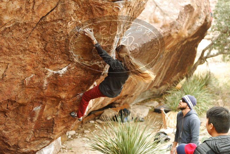 Bouldering in Hueco Tanks on 11/10/2018 with Blue Lizard Climbing and Yoga

Filename: SRM_20181110_1151460.jpg
Aperture: f/3.5
Shutter Speed: 1/320
Body: Canon EOS-1D Mark II
Lens: Canon EF 50mm f/1.8 II