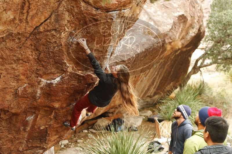 Bouldering in Hueco Tanks on 11/10/2018 with Blue Lizard Climbing and Yoga

Filename: SRM_20181110_1151480.jpg
Aperture: f/3.5
Shutter Speed: 1/400
Body: Canon EOS-1D Mark II
Lens: Canon EF 50mm f/1.8 II