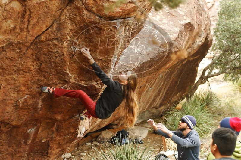 Bouldering in Hueco Tanks on 11/10/2018 with Blue Lizard Climbing and Yoga

Filename: SRM_20181110_1151520.jpg
Aperture: f/3.5
Shutter Speed: 1/400
Body: Canon EOS-1D Mark II
Lens: Canon EF 50mm f/1.8 II