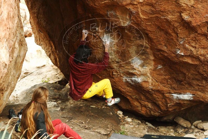 Bouldering in Hueco Tanks on 11/10/2018 with Blue Lizard Climbing and Yoga
Filename: SRM_20181110_1208350.jpg
Aperture: f/4.0
Shutter Speed: 1/200
Body: Canon EOS-1D Mark II
Lens: Canon EF 50mm f/1.8 II