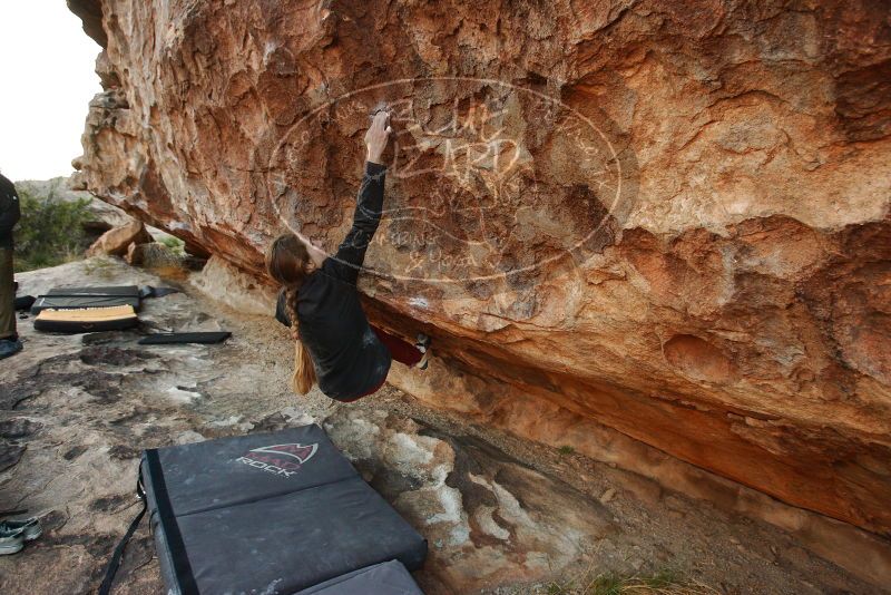 Bouldering in Hueco Tanks on 11/10/2018 with Blue Lizard Climbing and Yoga
Filename: SRM_20181110_1742250.jpg
Aperture: f/4.5
Shutter Speed: 1/250
Body: Canon EOS-1D Mark II
Lens: Canon EF 16-35mm f/2.8 L