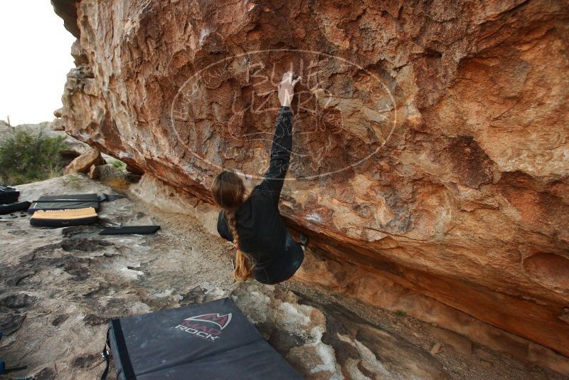 Bouldering in Hueco Tanks on 11/10/2018 with Blue Lizard Climbing and Yoga

Filename: SRM_20181110_1743040.jpg
Aperture: f/4.5
Shutter Speed: 1/250
Body: Canon EOS-1D Mark II
Lens: Canon EF 16-35mm f/2.8 L