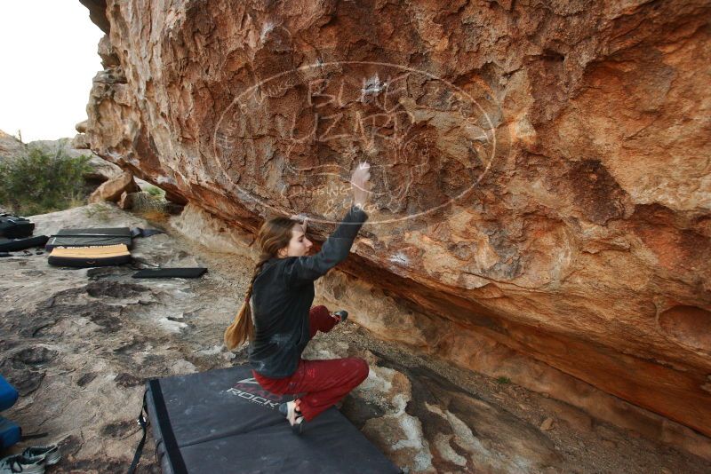Bouldering in Hueco Tanks on 11/10/2018 with Blue Lizard Climbing and Yoga

Filename: SRM_20181110_1743041.jpg
Aperture: f/4.5
Shutter Speed: 1/250
Body: Canon EOS-1D Mark II
Lens: Canon EF 16-35mm f/2.8 L