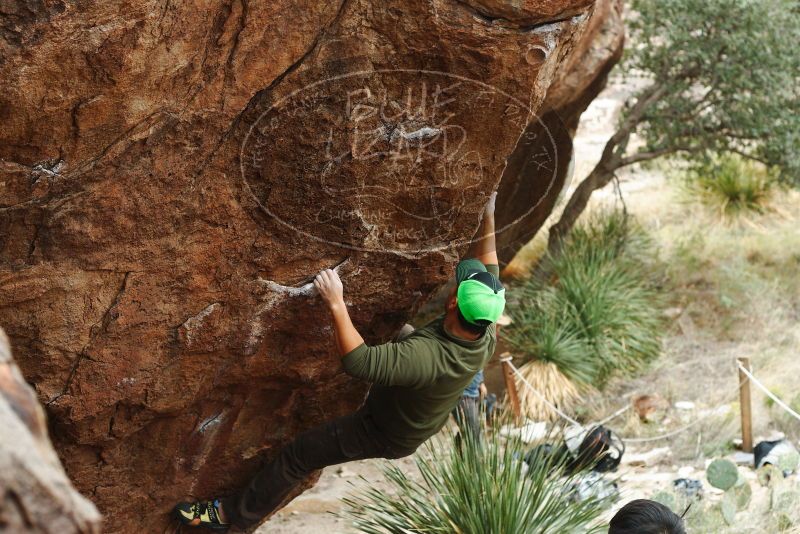 

Filename: SRM_20181110_1158500.jpg
Aperture: f/4.0
Shutter Speed: 1/400
Body: Canon EOS-1D Mark II
Lens: Canon EF 50mm f/1.8 II