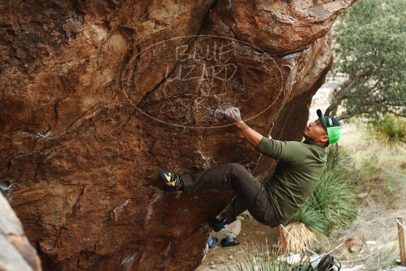 

Filename: SRM_20181110_1159050.jpg
Aperture: f/4.0
Shutter Speed: 1/500
Body: Canon EOS-1D Mark II
Lens: Canon EF 50mm f/1.8 II