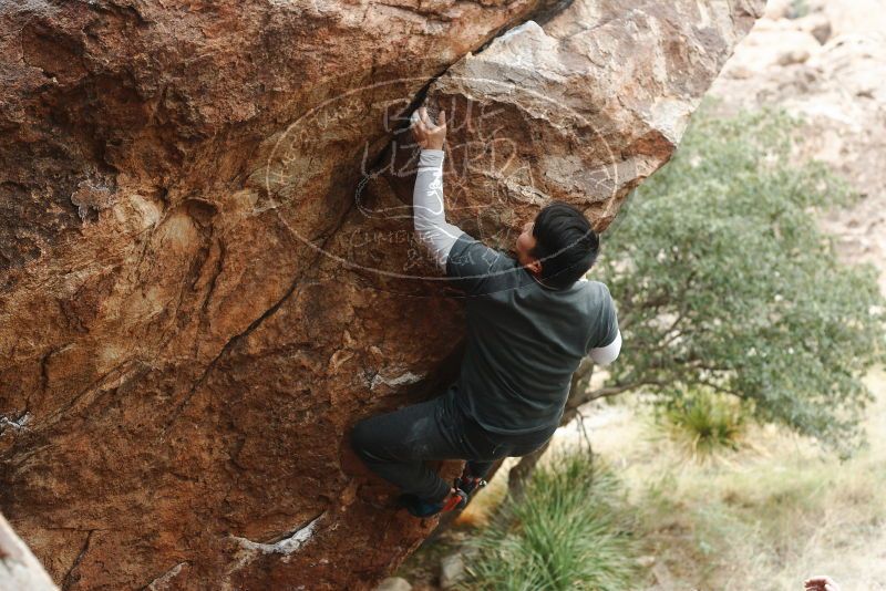 

Filename: SRM_20181110_1201210.jpg
Aperture: f/4.0
Shutter Speed: 1/400
Body: Canon EOS-1D Mark II
Lens: Canon EF 50mm f/1.8 II