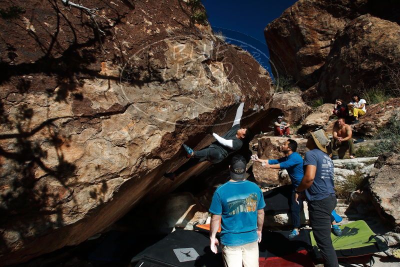 

Filename: SRM_20181110_1334040.jpg
Aperture: f/8.0
Shutter Speed: 1/250
Body: Canon EOS-1D Mark II
Lens: Canon EF 16-35mm f/2.8 L