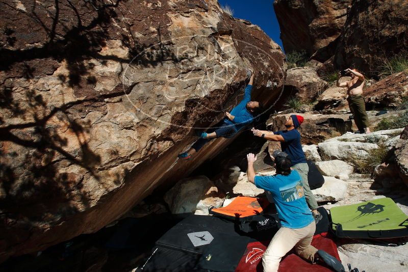 

Filename: SRM_20181110_1345070.jpg
Aperture: f/8.0
Shutter Speed: 1/250
Body: Canon EOS-1D Mark II
Lens: Canon EF 16-35mm f/2.8 L