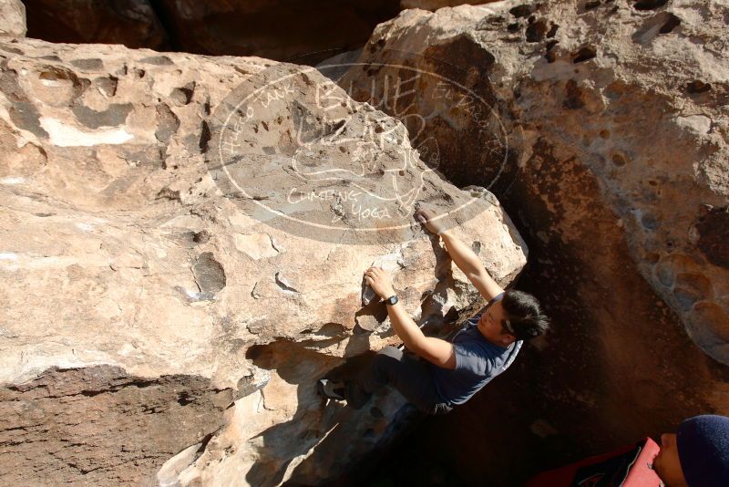 

Filename: SRM_20181110_1507050.jpg
Aperture: f/5.6
Shutter Speed: 1/400
Body: Canon EOS-1D Mark II
Lens: Canon EF 16-35mm f/2.8 L