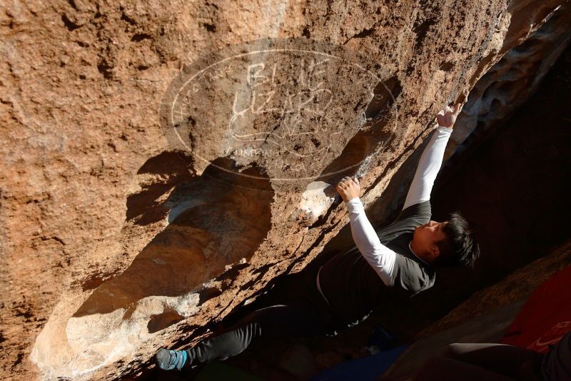 

Filename: SRM_20181110_1519190.jpg
Aperture: f/8.0
Shutter Speed: 1/400
Body: Canon EOS-1D Mark II
Lens: Canon EF 16-35mm f/2.8 L