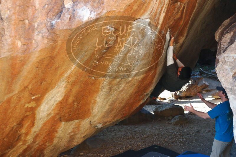 

Filename: SRM_20181110_1637570.jpg
Aperture: f/3.5
Shutter Speed: 1/320
Body: Canon EOS-1D Mark II
Lens: Canon EF 50mm f/1.8 II