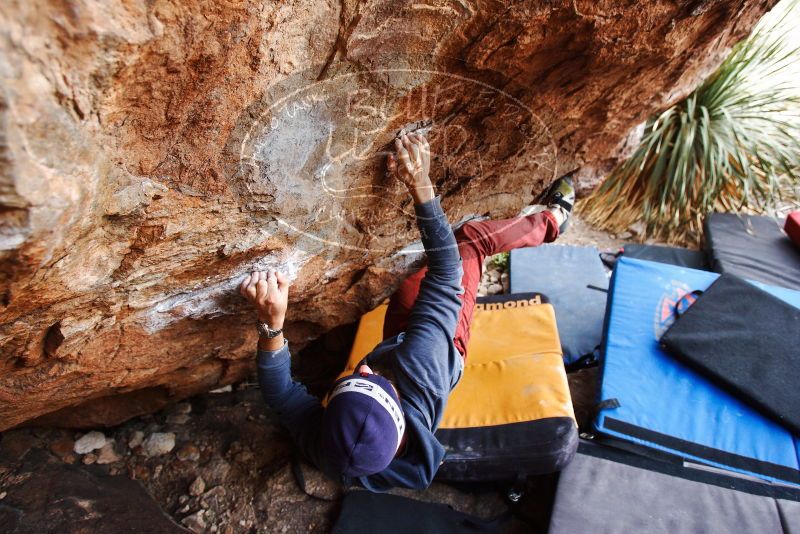 Bouldering in Hueco Tanks on 11/10/2018 with Blue Lizard Climbing and Yoga
Filename: SRM_20181110_1227440.jpg
Aperture: f/4.0
Shutter Speed: 1/250
Body: Canon EOS-1D Mark II
Lens: Canon EF 16-35mm f/2.8 L