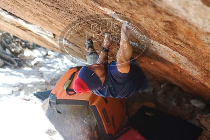 Bouldering in Hueco Tanks on 11/10/2018 with Blue Lizard Climbing and Yoga
Filename: SRM_20181110_1409420.jpg
Aperture: f/2.8
Shutter Speed: 1/320
Body: Canon EOS-1D Mark II
Lens: Canon EF 50mm f/1.8 II
