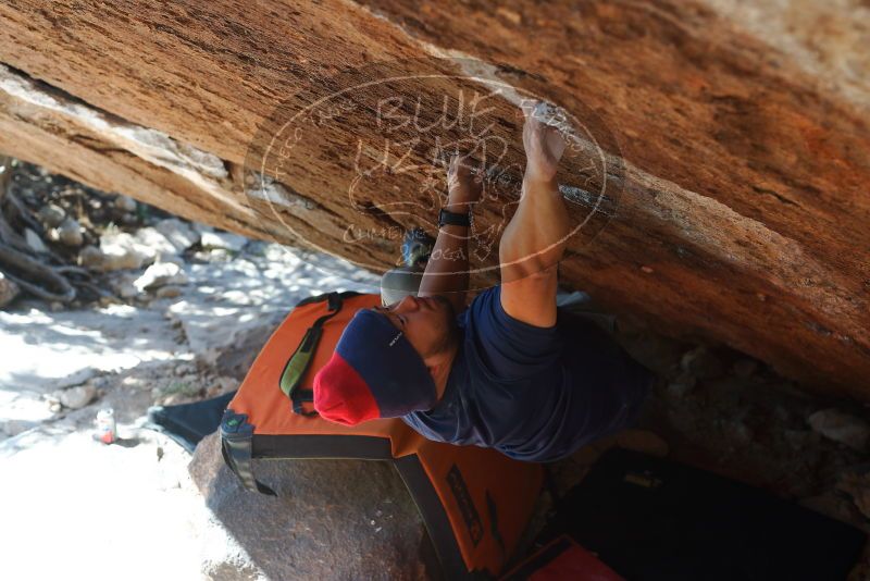 Bouldering in Hueco Tanks on 11/10/2018 with Blue Lizard Climbing and Yoga
Filename: SRM_20181110_1410261.jpg
Aperture: f/3.5
Shutter Speed: 1/400
Body: Canon EOS-1D Mark II
Lens: Canon EF 50mm f/1.8 II