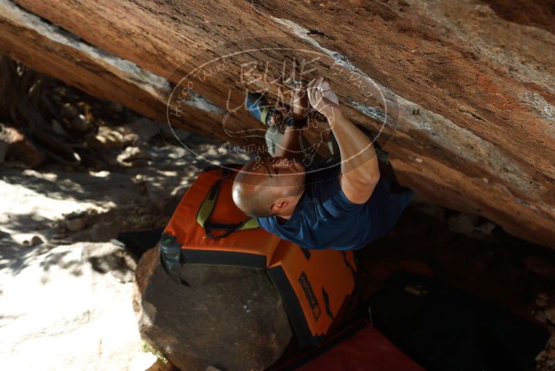 

Filename: SRM_20181110_1422250.jpg
Aperture: f/5.0
Shutter Speed: 1/200
Body: Canon EOS-1D Mark II
Lens: Canon EF 50mm f/1.8 II