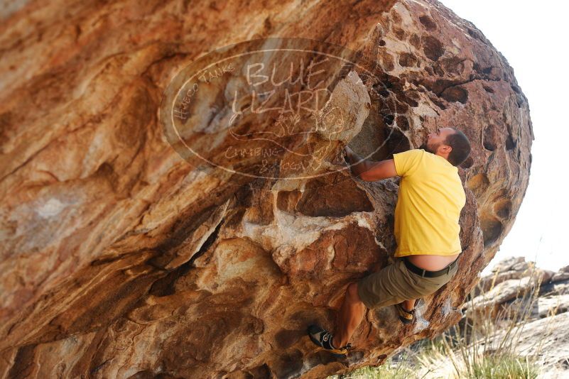 Bouldering in Hueco Tanks on 11/11/2018 with Blue Lizard Climbing and Yoga

Filename: SRM_20181111_1155430.jpg
Aperture: f/4.0
Shutter Speed: 1/500
Body: Canon EOS-1D Mark II
Lens: Canon EF 50mm f/1.8 II
