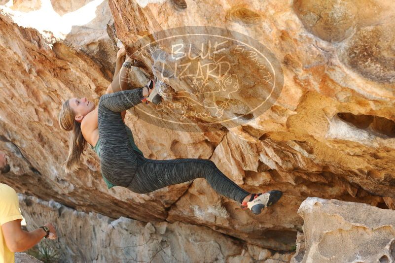 Bouldering in Hueco Tanks on 11/11/2018 with Blue Lizard Climbing and Yoga
Filename: SRM_20181111_1202110.jpg
Aperture: f/4.0
Shutter Speed: 1/320
Body: Canon EOS-1D Mark II
Lens: Canon EF 50mm f/1.8 II